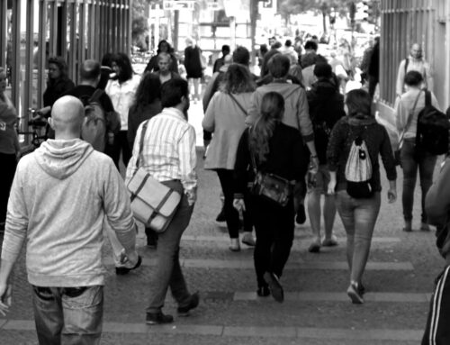 What factors impact societal resilience?